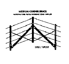 cat17p2.gif - 2.94 K