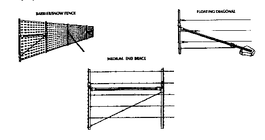 cat17p3.gif - 4.94 K