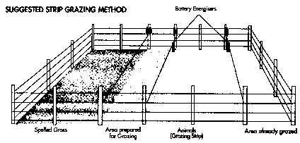 PORTABLE SHEEP AND GOAT FENCE CONFIGURATION - GALLAGHER USA